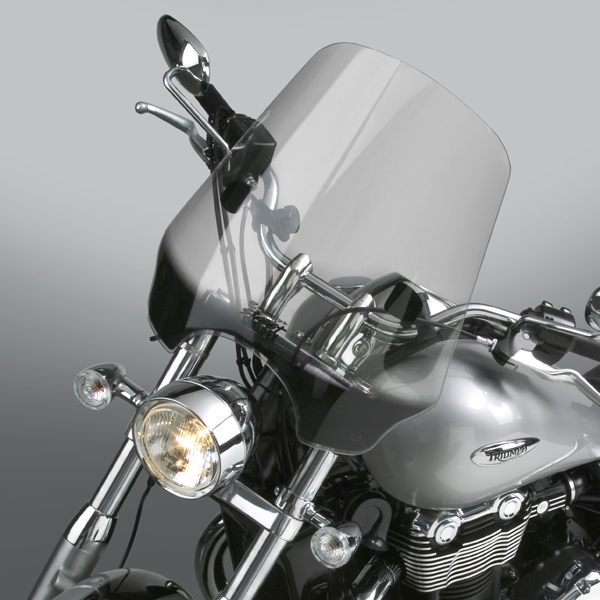 tinted flyscreen for thunderbird 350
