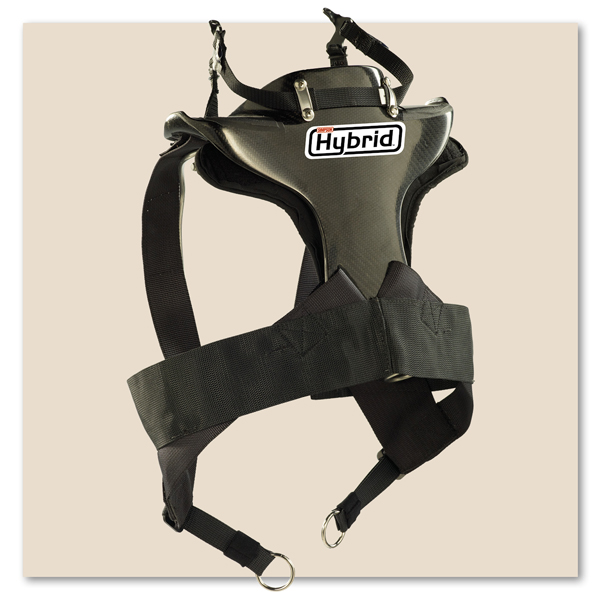 Simpson Helmet Visors