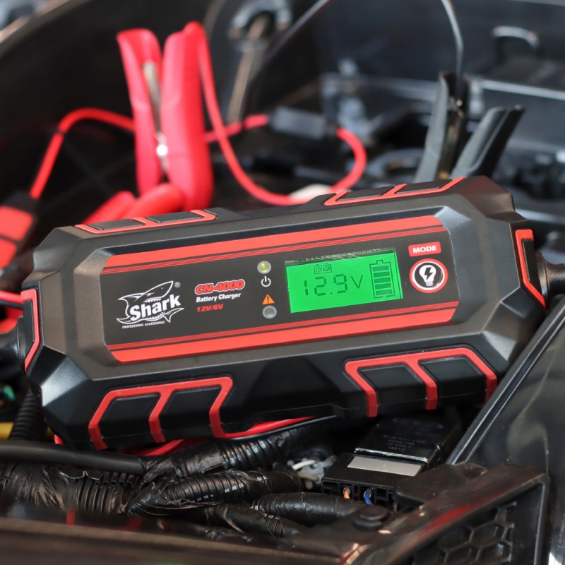 Harley DavidsonMotorcycle ATV Battery Charger 12V 6V fully automatic